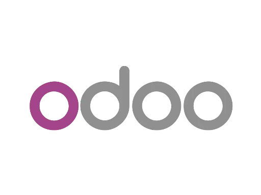 Odoo Website Design (pro Stunde)